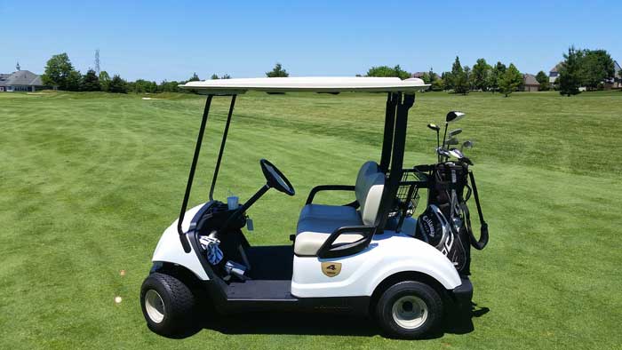 best golf cart batteries