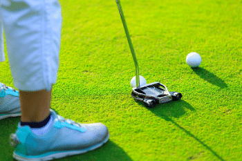 The 6 Best Mallet Putters (2021 Edition)